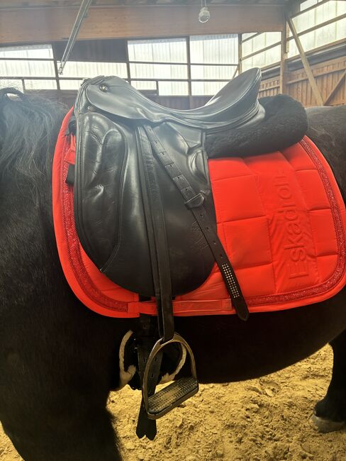 Prestige Sattel „Dodge“ - 17“, Prestige Dodge, Michelle, Dressage Saddle, Burbach