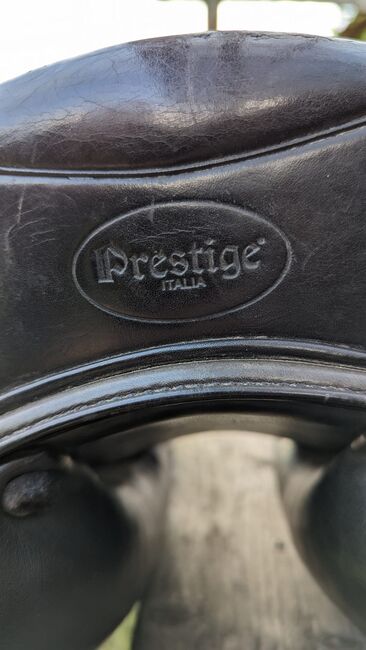 Prestige Sattel, Dodge Prestige , Ava Gerken, Dressage Saddle, Gnarrenburg, Image 4