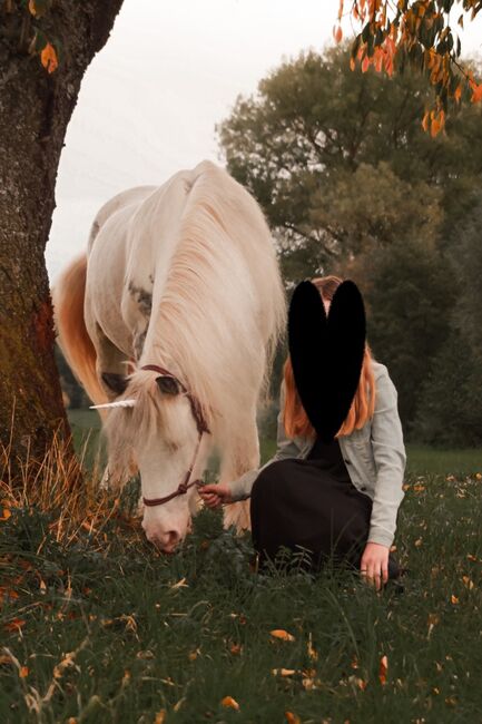 Hübsche, verschmuste Tinkerstute, Manuela, Horses For Sale, Rattelsdorf, Image 2