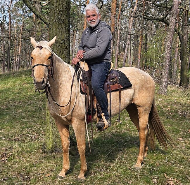 Bildhübsche Palomino (Roan) Quarter Horse Stute - Ein echter Eyecatcher mit Talent und Charakter, Kerstin Rehbehn (Pferdemarketing Ost), Horses For Sale, Nienburg, Image 15
