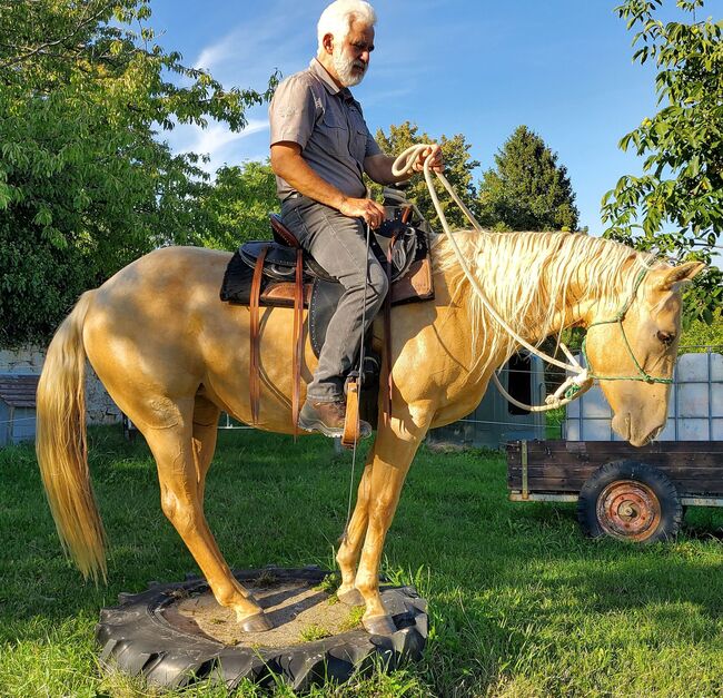 Bildhübsche Palomino (Roan) Quarter Horse Stute - Ein echter Eyecatcher mit Talent und Charakter, Kerstin Rehbehn (Pferdemarketing Ost), Horses For Sale, Nienburg, Image 10