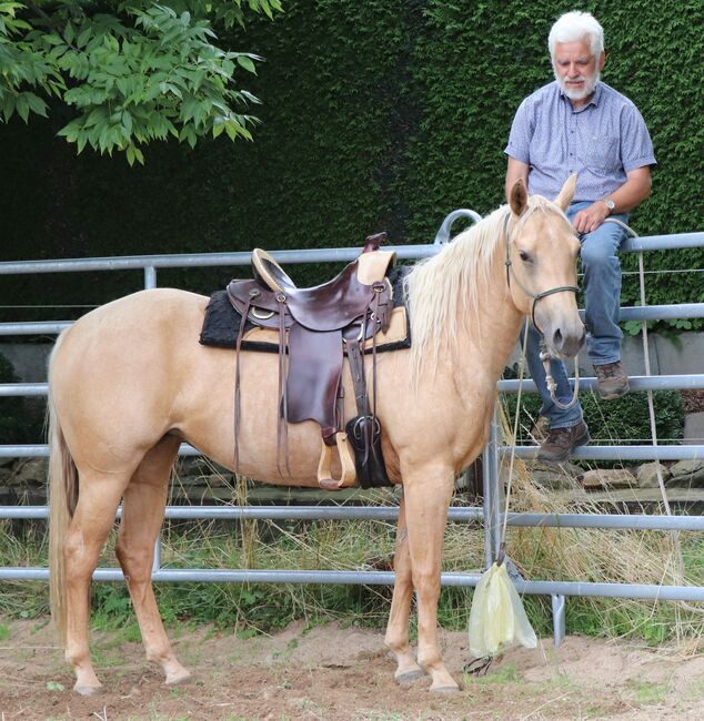 Bildhübsche Palomino (Roan) Quarter Horse Stute - Ein echter Eyecatcher mit Talent und Charakter, Kerstin Rehbehn (Pferdemarketing Ost), Horses For Sale, Nienburg, Image 6