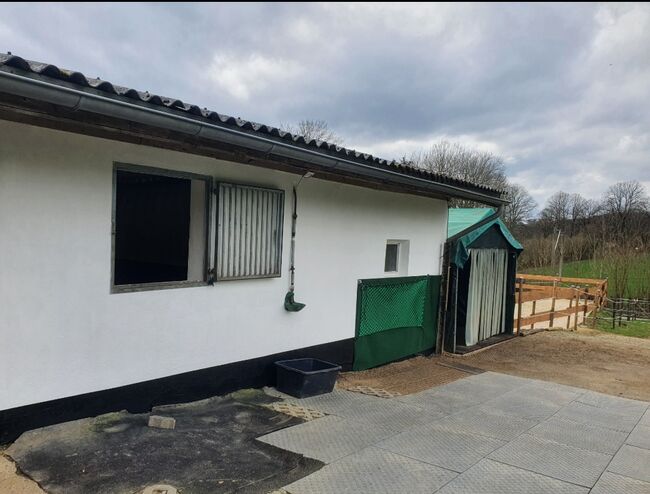 Privatstall hat 2 Boxen frei, Kerstin , Stallplätze, Wülfrath Aprath 