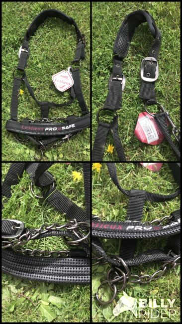 Pro Safe Head Collar, LeMieux , Sam, Halfter, Rochford , Abbildung 6