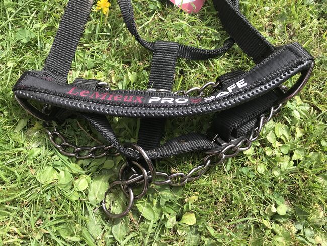 Pro Safe Head Collar, LeMieux , Sam, Halters, Rochford , Image 5