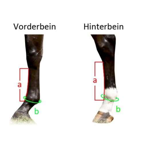 Professionals Choice 2X COOL ValuePack Medium DAISY UVP299€, Professionals Choice 2XCOOL, WOW Pferd  (Shop WOW Pferd), Tendon Boots, Bayern - Attenkirchen, Image 2