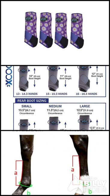 Professionals Choice 2X COOL ValuePack Medium DAISY UVP299€, Professionals Choice 2XCOOL, WOW Pferd  (Shop WOW Pferd), Tendon Boots, Bayern - Attenkirchen, Image 4