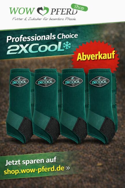 Professionals Choice 2X COOL ValuePack Medium EMERALD / SMARAGDGRÜN, Professionals Choice 2XCOOL, WOW Pferd  (WOW Pferd), Tendon Boots, Bayern - Attenkirchen