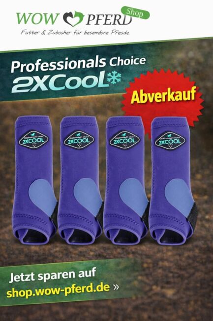 Professionals Choice 2X COOL ValuePack Medium PURPLE / LILA, Professionals Choice 2XCOOL, WOW Pferd  (WOW Pferd), Ochraniacze, Bayern - Attenkirchen