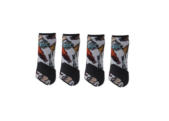 Professionals Choice 2X COOL ValuePack STEER HEAD UVP299€, Professionals Choice 2X COOL ValuePack STEER HEAD UVP299€  2X COOL ValuePack, WOW Pferd  (Shop WOW Pferd), Ochraniacze, Bayern - Attenkirchen, Image 3