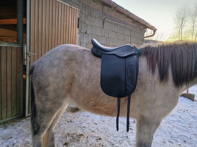 Prydi Standard Sattel 17,5, schwarz 106°, Prydi, Sina Baurmann , Icelandic Saddle, Moos, Image 2