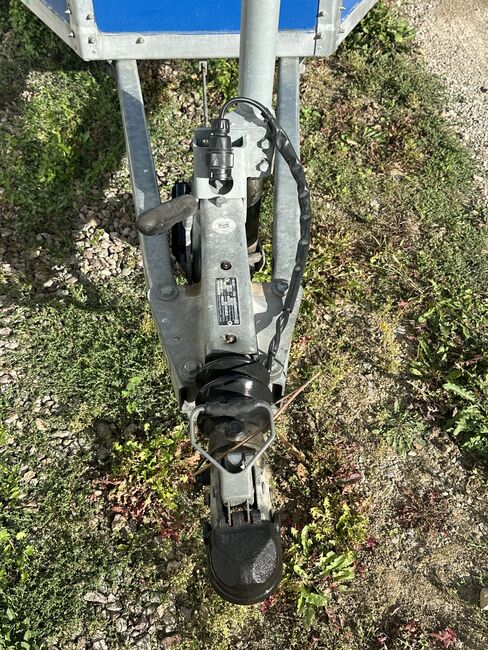 Pferdeanhänger Pferdehänger Böckmann komplett neu aufgebaut TÜV neu, Böckmann Duo, Andi Sake, Przyczepa konna, Bösleben-Wüllersleben, Image 5
