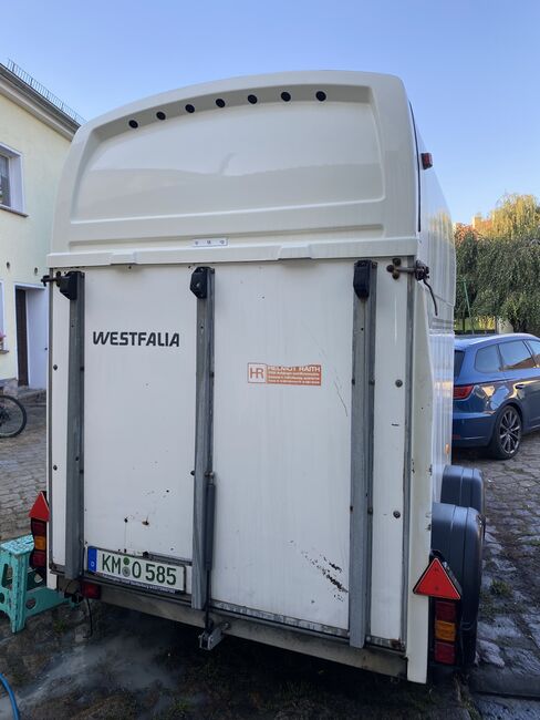 Westfalia  Jupiter XL Pferdeanhänger, Westfalia  Jupiter XL, Billy, Przyczepa konna, Straßgräbchen, Image 6