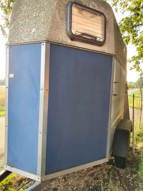 Wörmann Pferde Anhänger Memphis 2008, Wörmann Memphis , Petra, Przyczepa konna, Freistatt
