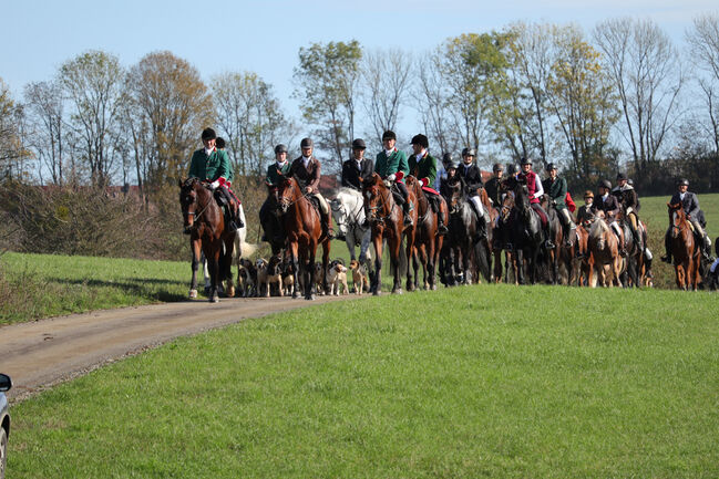 Macht Euch Fit für die Jagd, Kronwitter Petra , Wczasy jeździeckie, Mainbernheim, Image 6