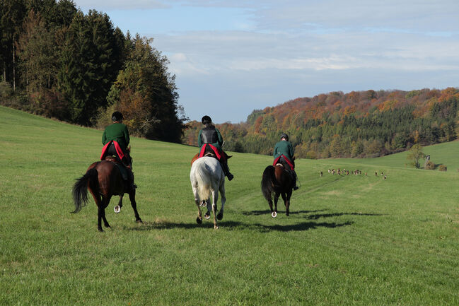 Macht Euch Fit für die Jagd, Kronwitter Petra , Wczasy jeździeckie, Mainbernheim, Image 8