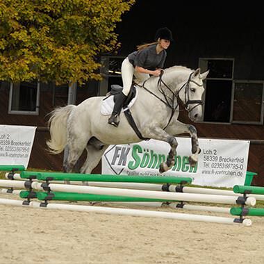 WingX Cavaletti Stangenaufsätze, WingX Cavaletti Stangenaufsätze, Dorina Mümmler, Padok, Einbeck, Image 2