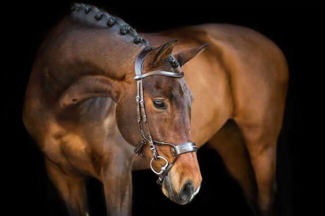 PS of Sweden High Jump Trense - Cob - Braun - NEU, PS of Sweden High Jump, Nico Teichmann, Bridles & Headstalls, Lüchow, Image 3