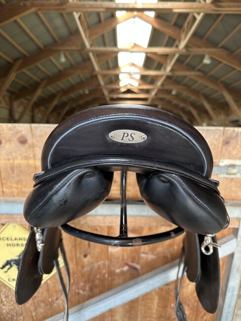 PS Sattel Fridur Sport 2, PS Frisur Sport 2, Andrea Gerersdorfer , Dressage Saddle, Kollapriel, Image 6