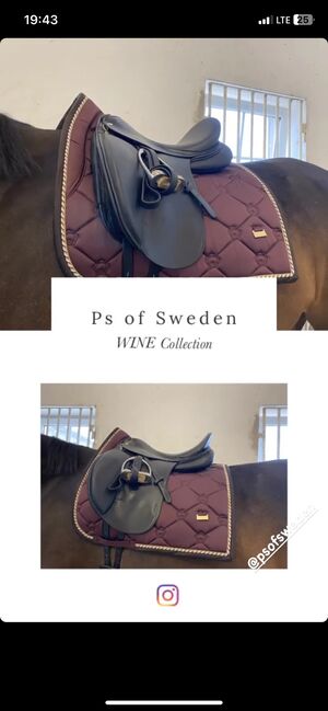 Ps of Sweden Wine, Jacqui, Dressage Pads, Linz