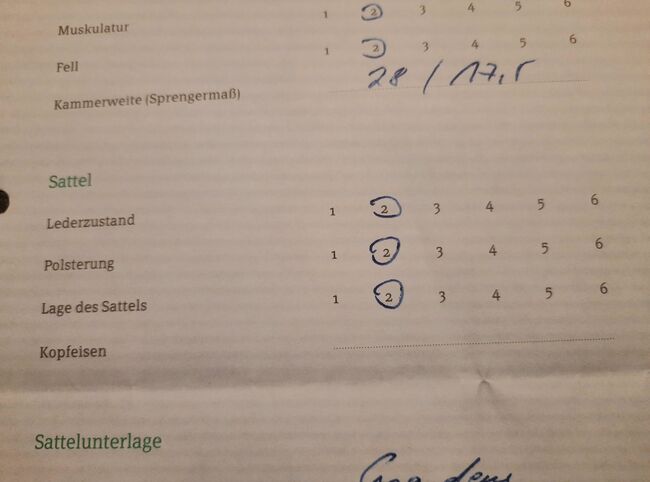 PS Vindur 17,5" / 28 Kammerweite, PS Vindur, Harald Frauenknecht , Isländersattel, Hinte , Abbildung 5