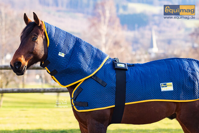 pulsierendes Magnetfeld - Magnetfelddecke zum 30-Tage Test, equimag equimag expert in der Austattung Profi-Set, Manfred (equimag GmbH - pulsierende Magnetfeldtherapie für Pferde), Therapy & Treatment, Darmstadt