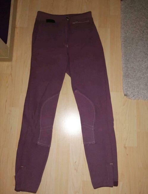 Lila Reithose Euro Star, Euro Star, Chiara, Breeches & Jodhpurs, Giebelstadt