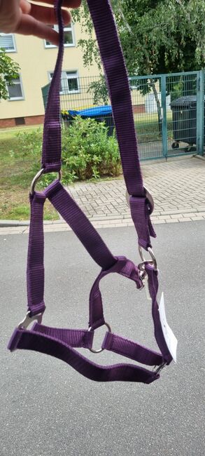 Halfter lila, Krämer , Samantha, Halters, Schwedt