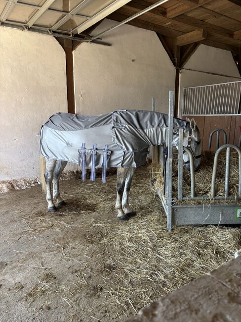 QHP Fliegendecke - Halsteil - Bauchlatz - neuwertig, Größe 185cm, QHP Fliegendecke Combo mit Neck , Verena Hamacher, Horse Blankets, Sheets & Coolers, Röttenbach 