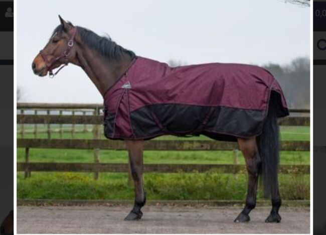 QHP Turnoutdecke 0g mit Fleece - 145 cm, QHP, Katja, Horse Blankets, Sheets & Coolers, Halle (Saale)