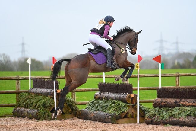 Quality Top Class Eventing Prospect, Tricia , Konie na sprzedaż, Bridgwater , Image 5