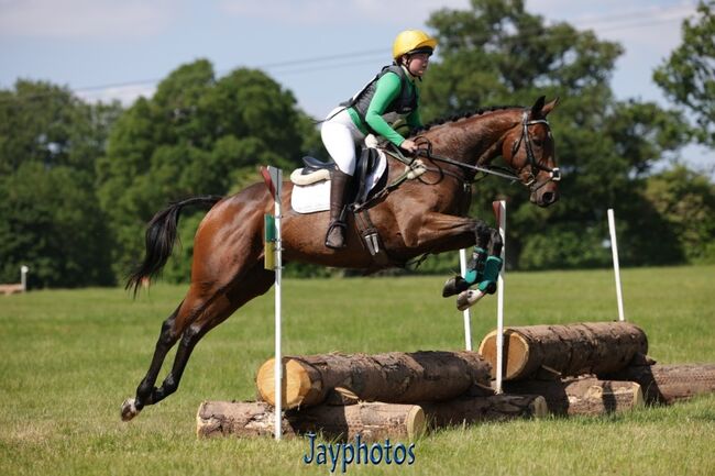 Quality Top Class Eventing Prospect, Tricia , Pferd kaufen, Bridgwater , Abbildung 2