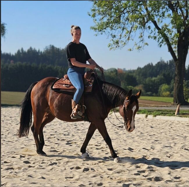 Quarter Horse Wallach, Bianca Lenz , Konie na sprzedaż, Loibes