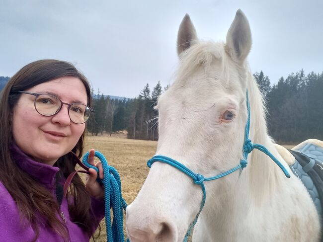 Quarter Horse Stute, Anita, Horses For Sale, Freiwalddorf, Image 6
