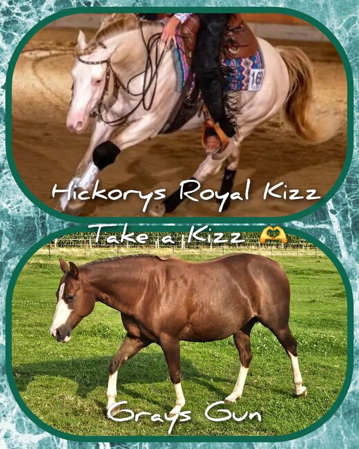 Quarter Horse Stute von 2013. Chestnut Rabicano, in Foal für 2026, Kathi, Horses For Sale, Groß Ippener, Image 6