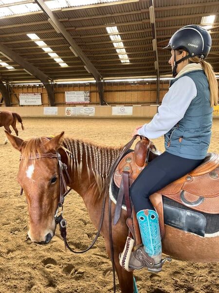 Quarter Horse Wallach (7 J.) sucht ein liebevolles 5 ⭐️ Zuhause, Johanna Vo, Pferd kaufen, Flein, Abbildung 4