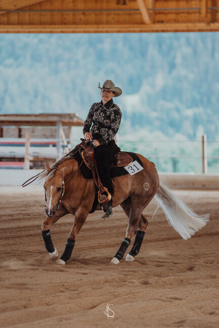 Quarter Horse Wallach, super Lehrmeister, Lisi, Pferd kaufen, Alpbach