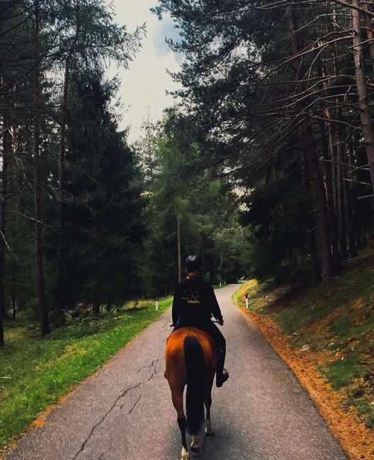 Quartermix zu verkaufen!, Barbara Pietrobon , Horses For Sale, Pfalzen Südtirol , Image 2