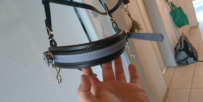 Glücksradzaum, Equimero  Glücksradzaum , Kathrin Gerhardt , Bitless Bridles, Ehingen , Image 5