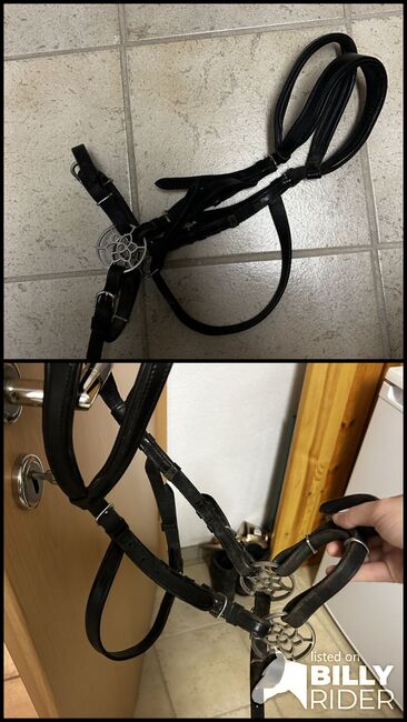 Glücksrad Trense Leder Gebisslos SH, Isa, Bitless Bridles, Siegbach, Image 3