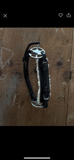 Glücksrad Wb, Loesdau, Jessica, Bitless Bridles, Droyßig
