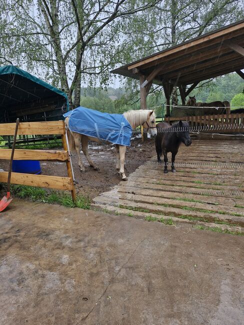 Regendecke,  0gr., 105cm, 3000mm, Tanja Weber , Horse Blankets, Sheets & Coolers, Mauschbach, Image 5