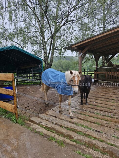 Regendecke,  0gr., 105cm, 3000mm, Tanja Weber , Horse Blankets, Sheets & Coolers, Mauschbach, Image 4