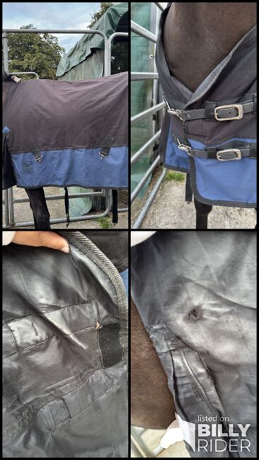 Regendecke 145?, Harry horse , Marei , Horse Blankets, Sheets & Coolers, Norderstedt , Image 5