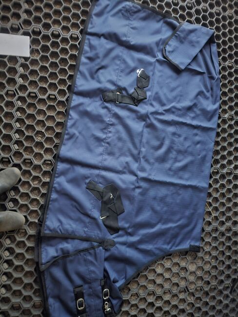 Regendecke, Sophie , Horse Blankets, Sheets & Coolers, Bad Belzig