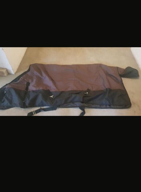 Regendecke, Sarah , Horse Blankets, Sheets & Coolers, Norderstedt