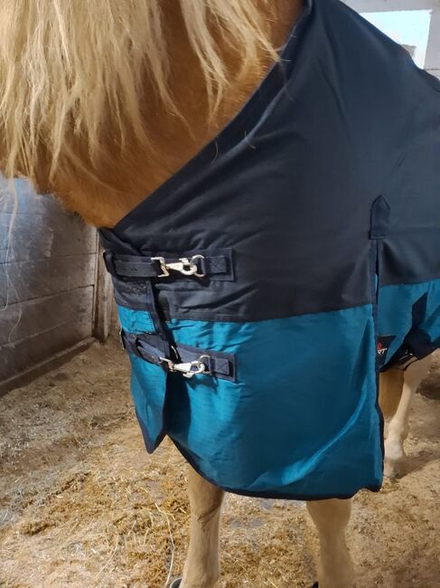 Regendecke, Start, Sabrina , Horse Blankets, Sheets & Coolers, Krieglach , Image 5