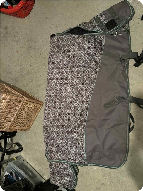 Regendecke 135cm 0g, Arnika Koenig, Horses For Sale, Endlichhofen