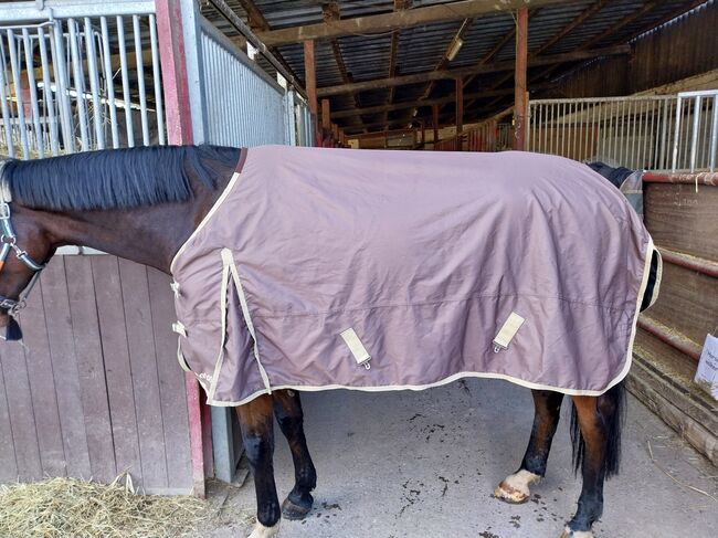 Verkaufe Regendecke von Back on Track, Back on Track , Pinzgauer, Horse Blankets, Sheets & Coolers, Rheinfelden 1