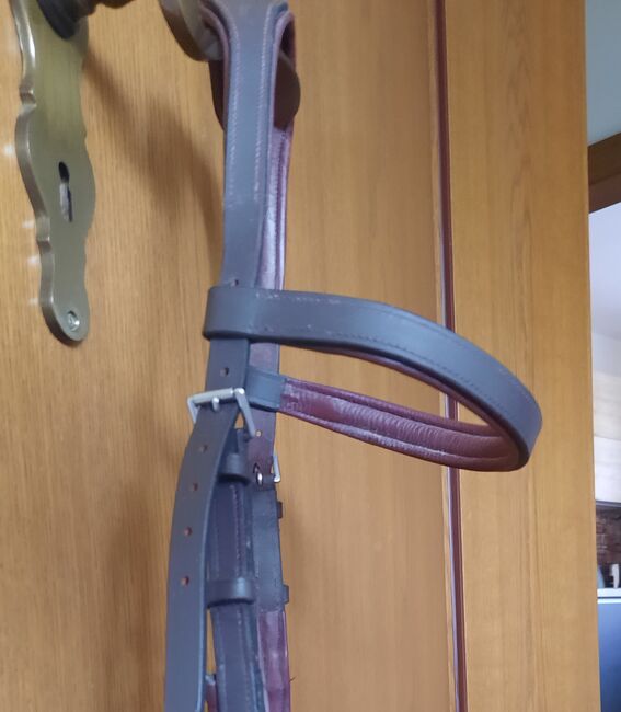 Rambo Micklem Competition Bridle, Micklem Rambo Competition , Claudia , Bridles & Headstalls, Traunreut, Image 7